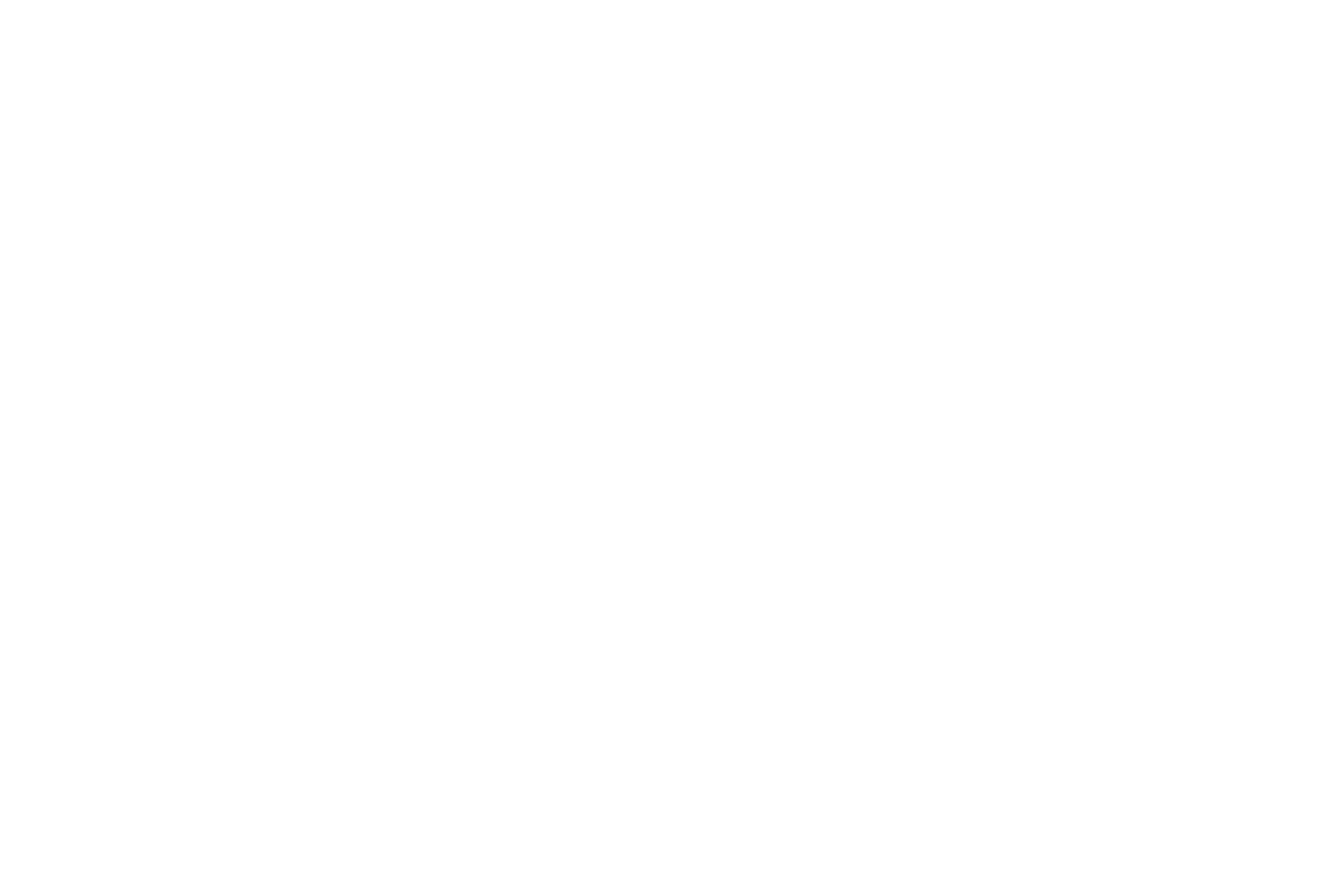 MARCA PLACE + ARBI_negativo